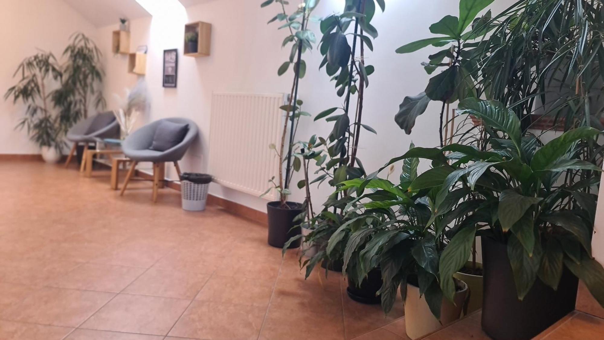 Brne Rooms Postojna Exterior photo