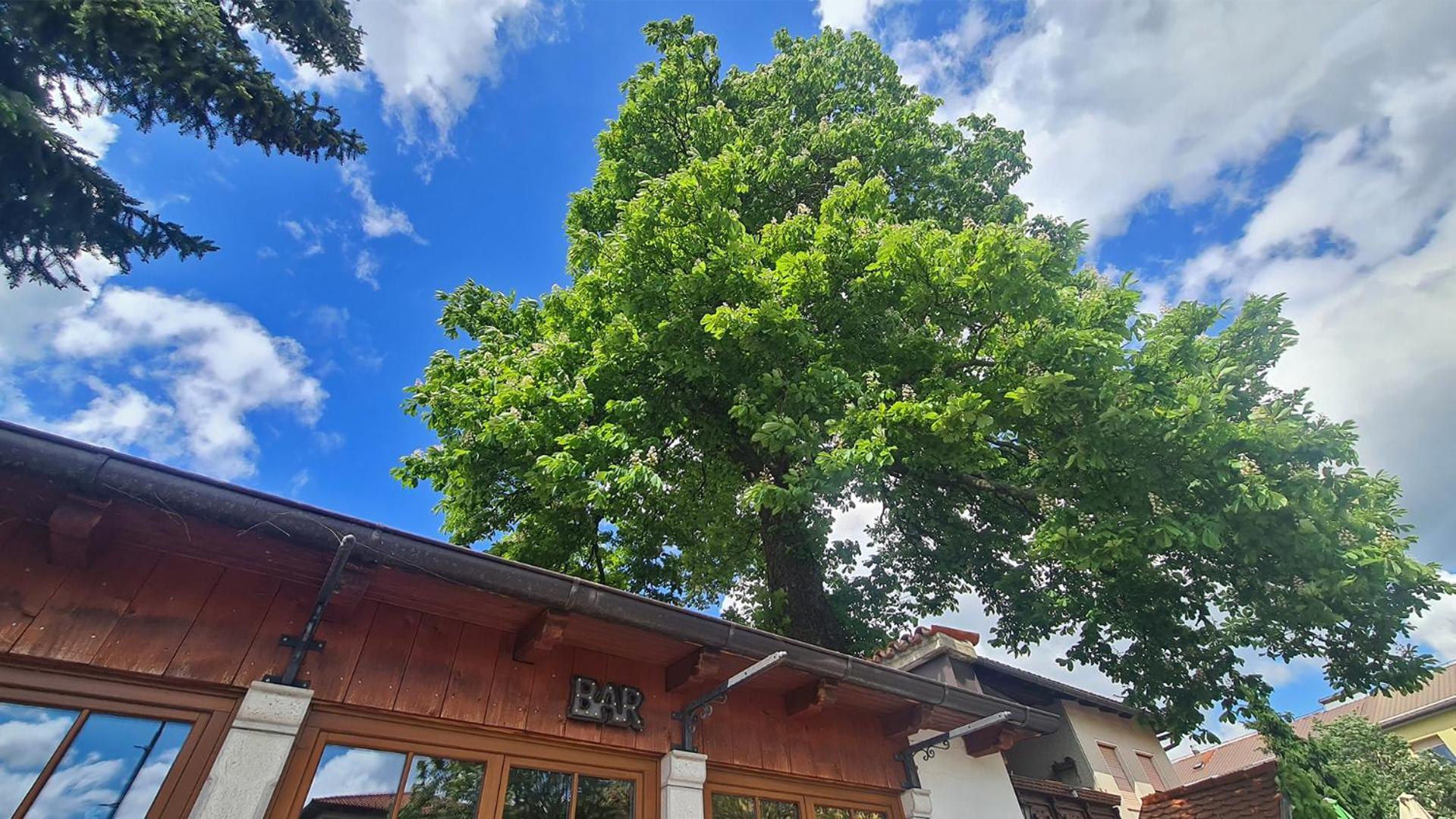 Brne Rooms Postojna Exterior photo