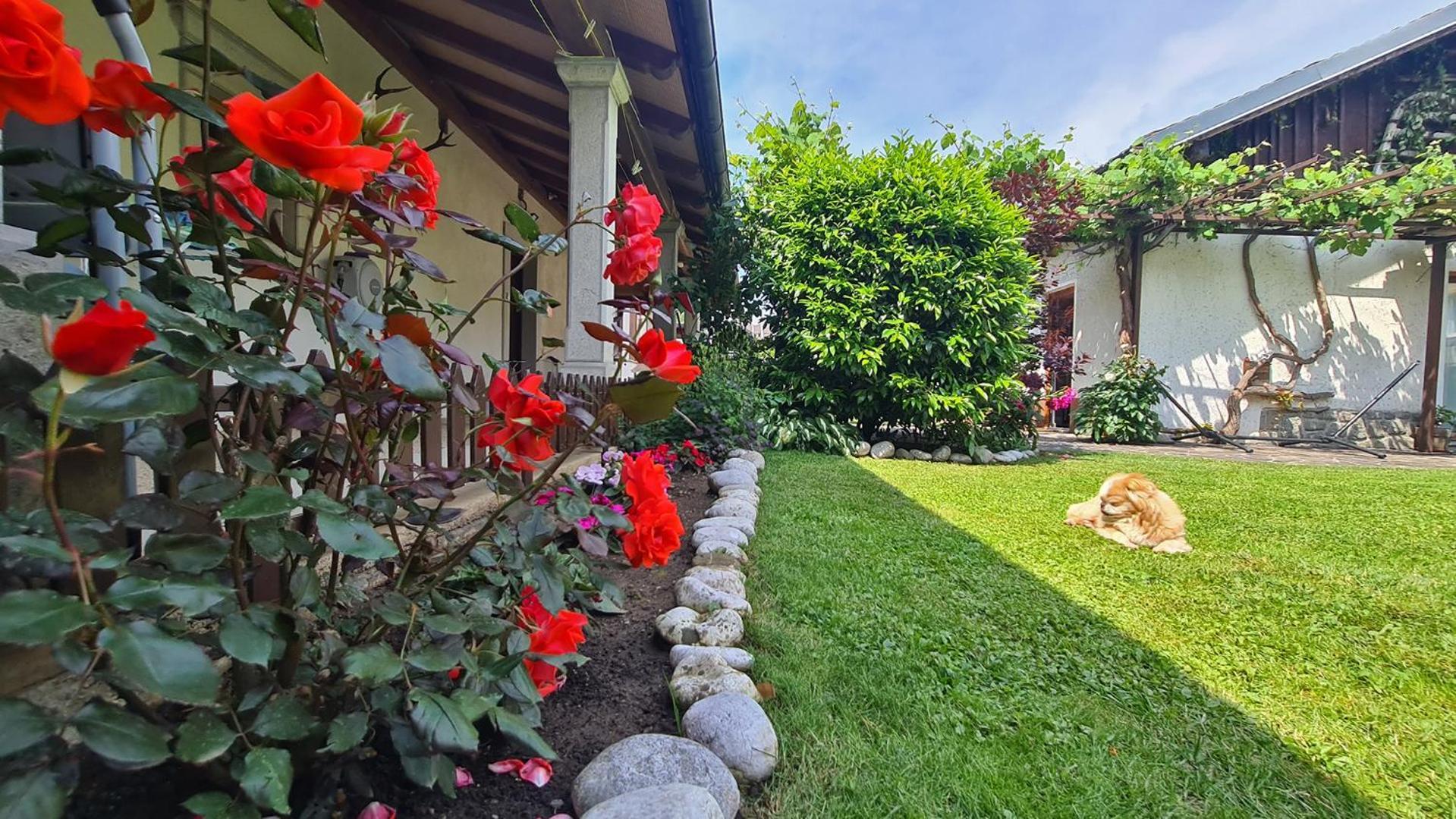 Brne Rooms Postojna Exterior photo